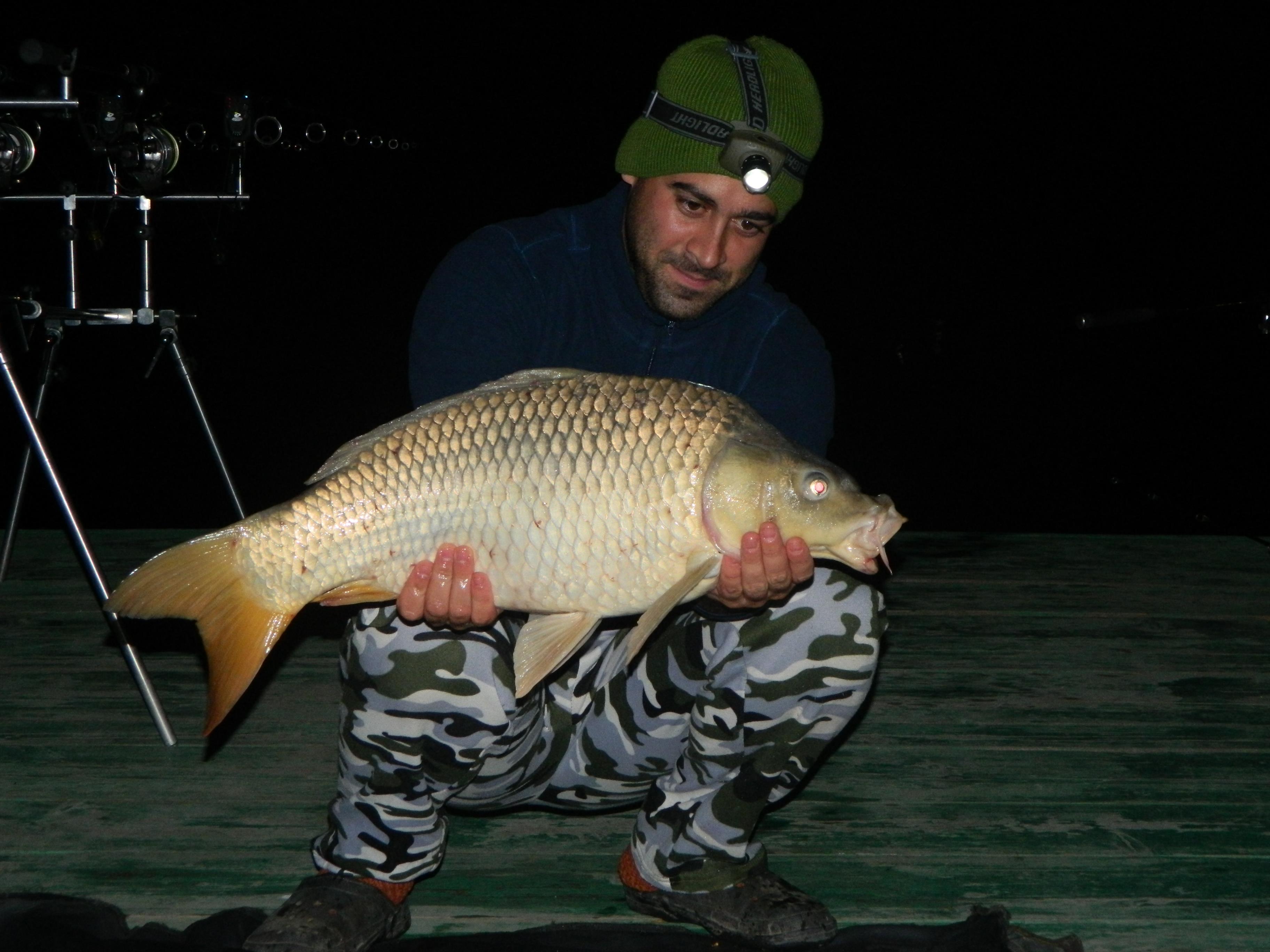 EU si pestii(like Batranul si marea!!!) - DSCN0516.JPG